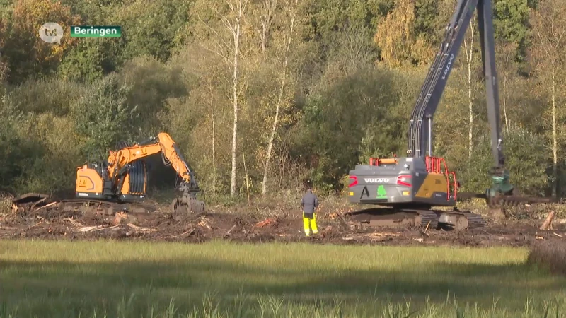 Herstel van de Vallei van de Zwarte Beek moet droogteramp voorkomen