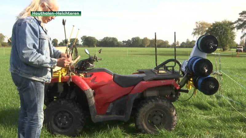 Veehouders op zoek naar hulp tijdens praktijkdag Wolf in Houthalen-Helchteren