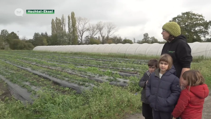Familieboerderij Eksel vreest sluiting door mestactieplan: "We werken duurzaam en worden nog gestraft"