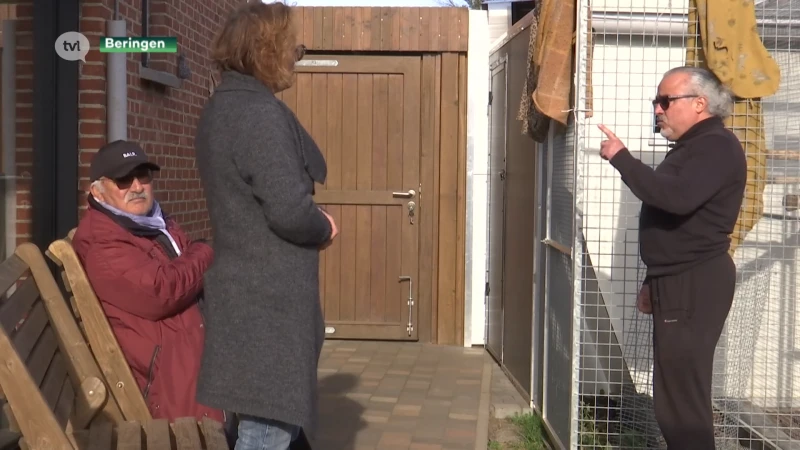 Niet in orde, wel in orde, niet in orde: inwoner van Koersel moet tuinhuis, volières en schuttingen afbreken