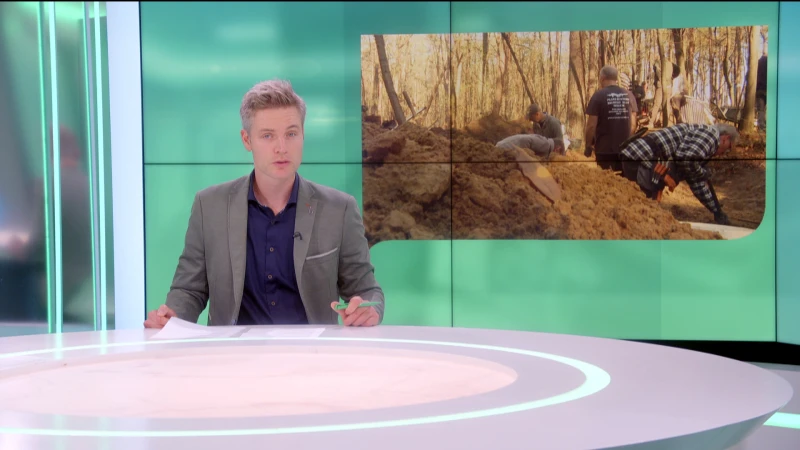 Plane hunters zoeken naar restanten vliegtuigwrak uit WOII in Dilserbos
