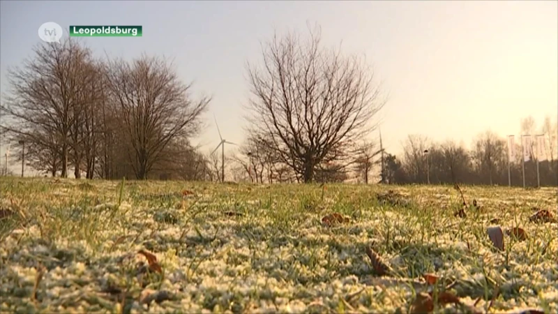 Goed voor de energiefactuur: wetenschappers verwachten zachte en droge winter