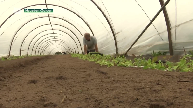 Seizoensgroenten eten is slim voor portemonnee