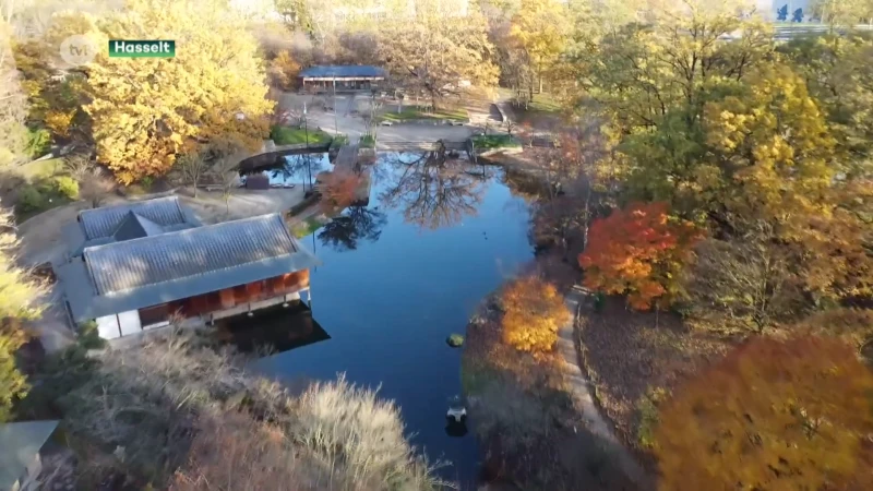 Japanse Tuin in Hasselt breekt alweer bezoekersrecord