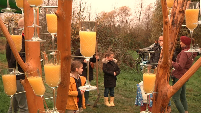 Verschillende boomplantacties moeten Limburg nog groener maken