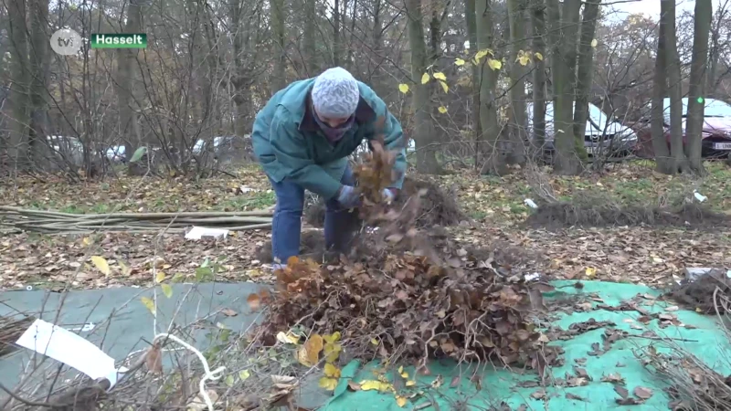 Natuurpunt en brouwerij Alken-Maes delen boompjes uit
