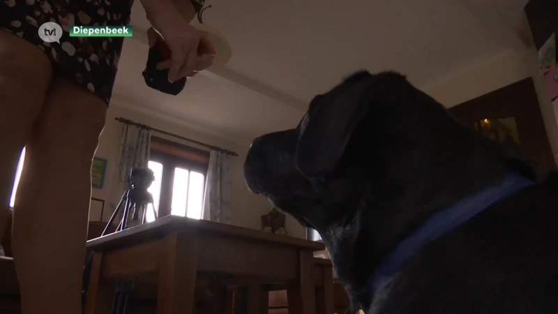 Oplichter misbruikt Belgisch Centrum voor Blindegeleidehonden