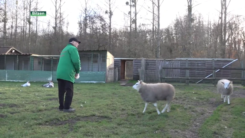 Bilzen investeert in renovatie dierenpark van 97-jarige uitbater