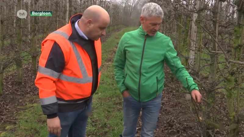 Slechtste jaar ooit voor appeltelers, 10 procent minder appelbomen verwacht in 2023