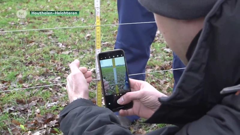 Wolf Fencing Team controleert of omheining van herder die getroffen werd door wolf wel wolfproof is