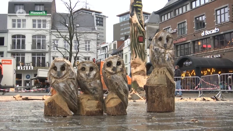 Hasseltse kerstboom wordt totempaal