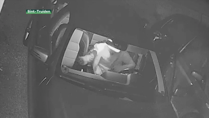 Fietser breekt in in auto's in Sint-Truiden