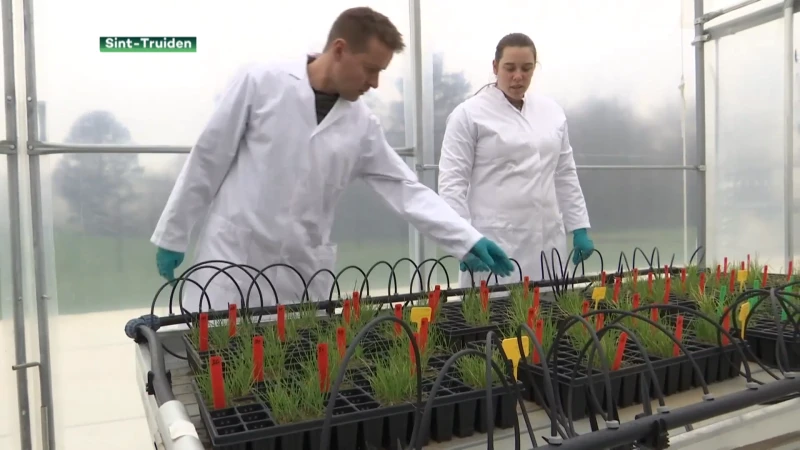 Truiens bedrijf Globachem blijft groeien en verdubbelt zijn kantooroppervlakte
