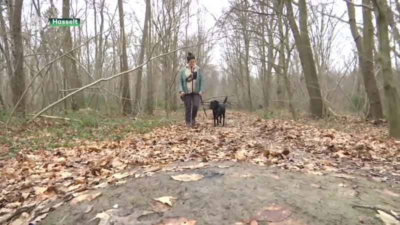 Steeds meer Limburgers verdienen brood door met honden te wandelen