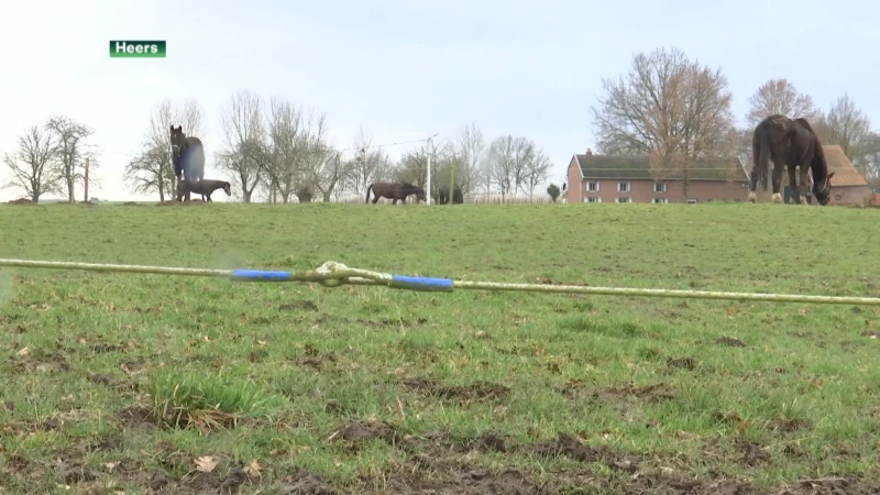 Gouverneur vernietigt voor tweede keer beslissing verkoop landbouwgronden in Heers