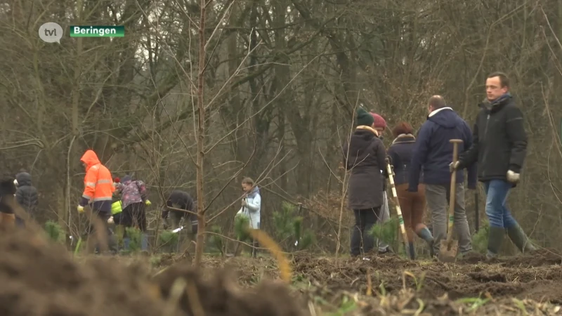 Voormalig voetbalveld van Korspel wordt omgetoverd tot bos