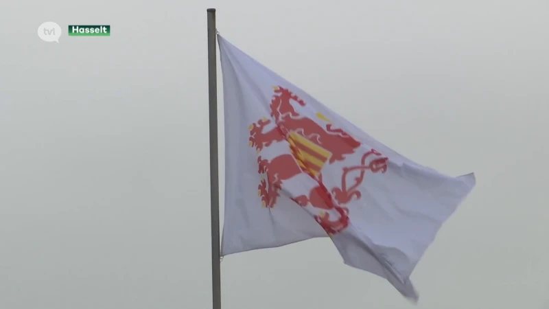 Limburgse gedeputeerden: 'De zwanenwang van Limburg is niet ingezet'
