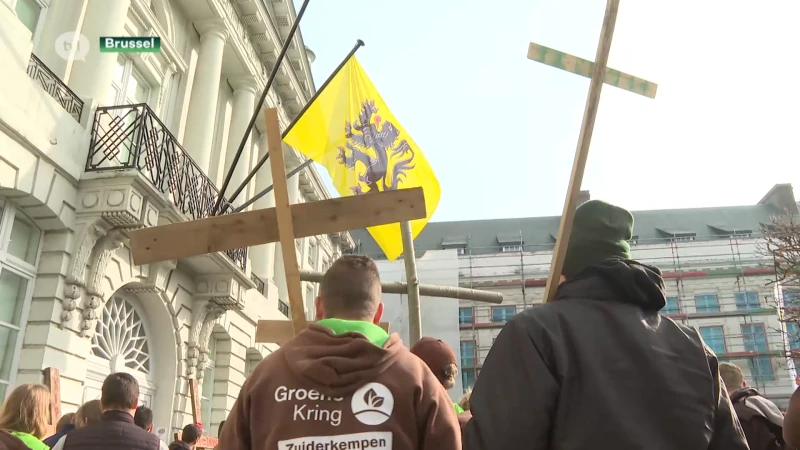 Jonge Limburgse boeren plaatsen houten kruisen: "Vlaamse regering speelt met onze toekomst"