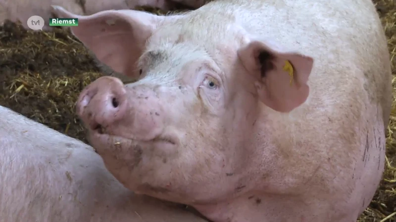 Jonge boeren: 'Liever geen akkoord dan een slecht akkoord'