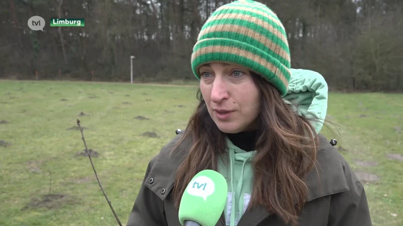 Zuhal Demir: "Geen stikstofakkoord zou failliet van de politiek betekenen."
