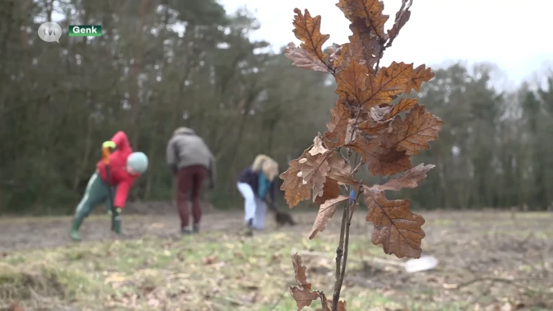 3600 bomen geplant op één dag in Genk