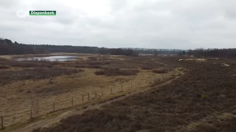 Natuurgebied De Maten laat zien waarom een stikstofakkoord nodig is