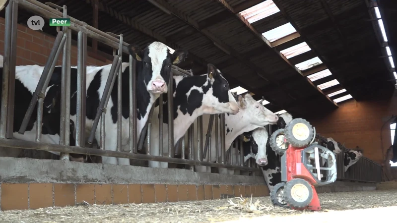Limburgse boeren eerder argwanend over stikstofdeal
