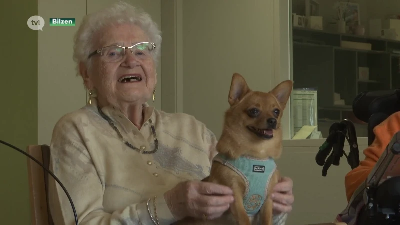 Senioren zijn dol op therapiehondje Lobke in wzc Demerhof in Bilzen