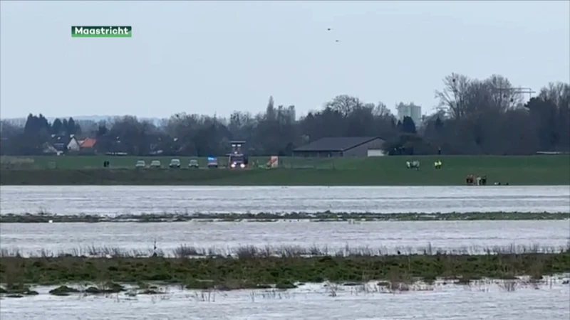 Dodelijk ongeval met boot was gevolg van motorstoring