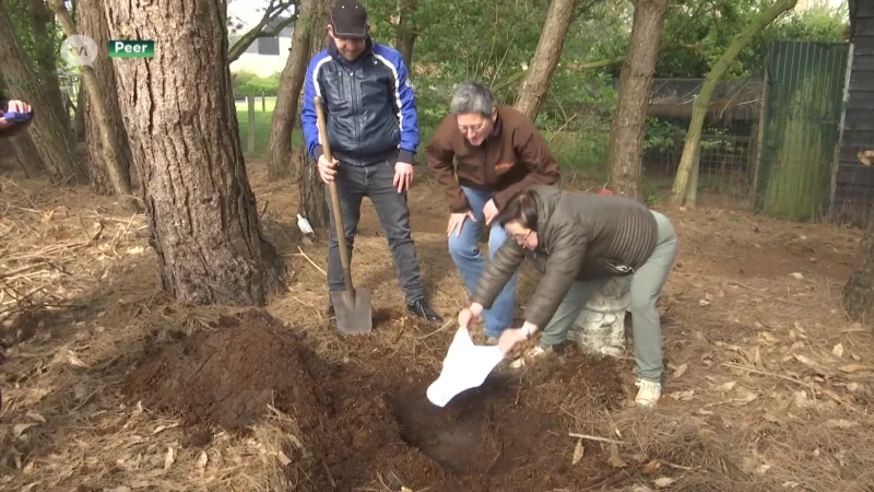Bewoners Peers zorgcentrum planten onderbroeken om grondkwaliteit te testen
