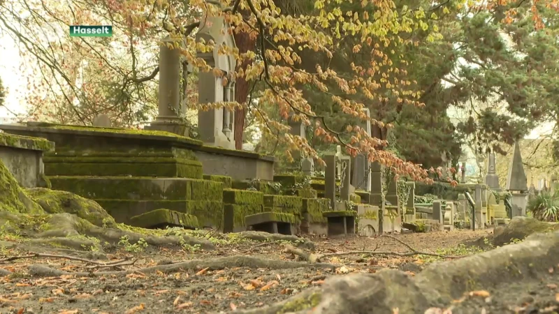 Bent u of kent u nabestaande van historische graven? Hasselt wil Oud Kerkhof herstellen in al zijn glorie