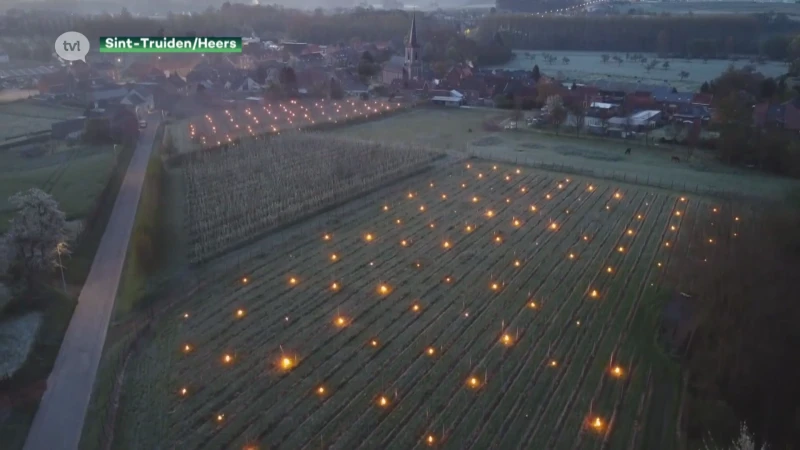 Vuurpotten moeten redding brengen voor vele fruittelers in Zuid-Limburg
