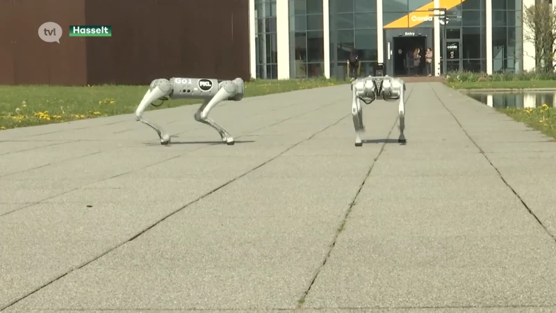 Robothonden gidsen bezoekers door Corda campus