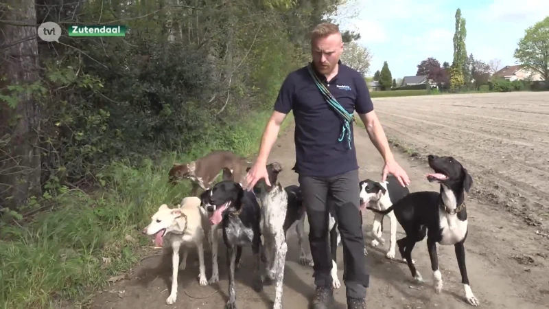 Zo leer je natuurlijk leidinggeven aan je hond