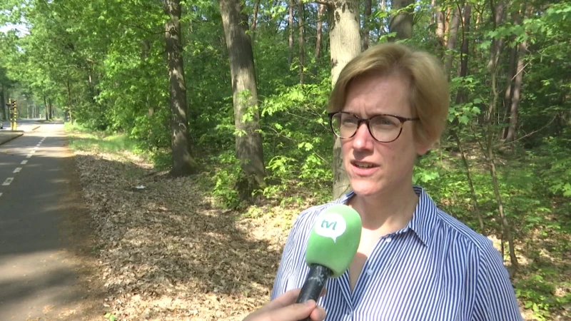Regenbooghuis Limburg: "Discriminatie van transgender personen op de arbeidsmarkt is schrijnend"