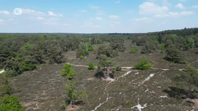 Volgende week van code Geel naar Oranje in de Limburgse bossen?