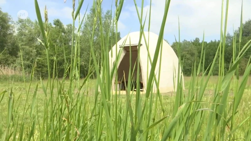 Kunstwerk Shelter siert Pliniuspark in Tongeren