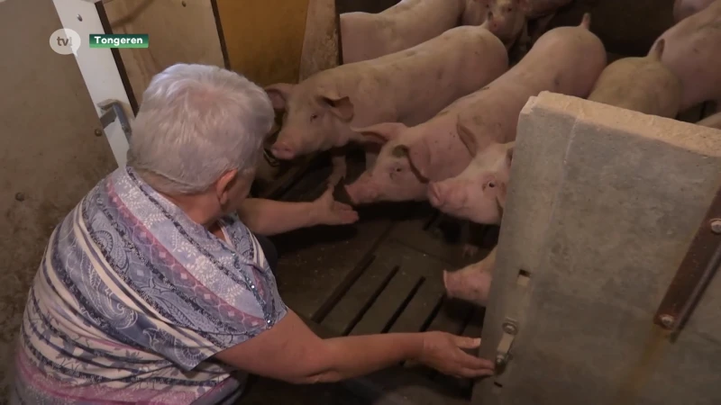 Vierde Limburgse varkensboeren laat zich uitkopen en stopt