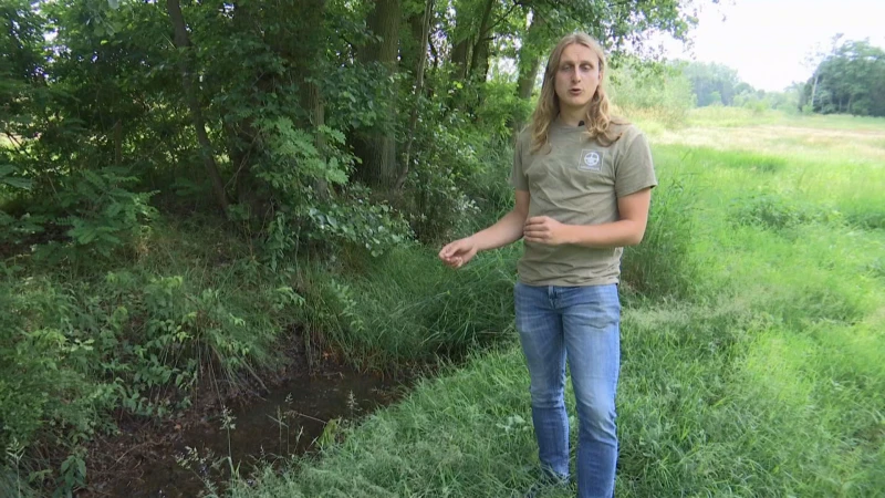 Natuurpunt beschuldigt 'Watering Schulensbroek' van sabotage in Vallei van de Zwarte Beek