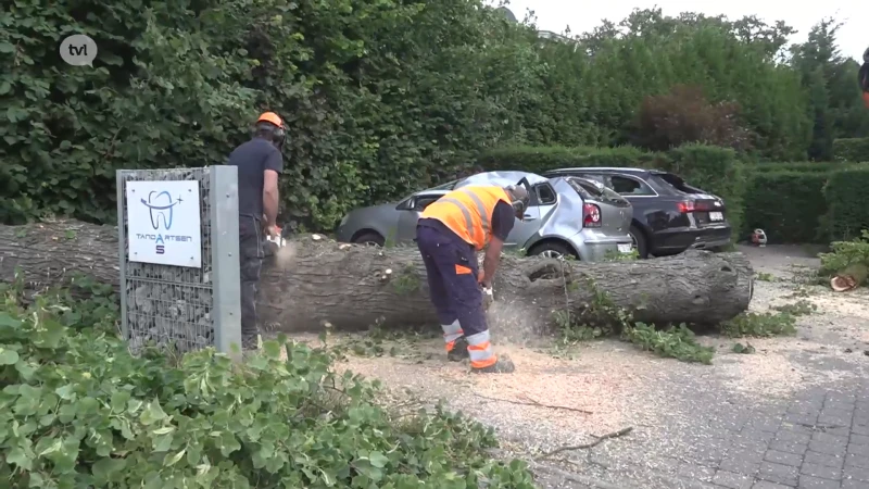 Boom valt op twee auto's in As