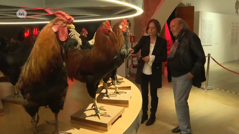 Italiaanse kunstkenners lovend over Koen Vanmechelen