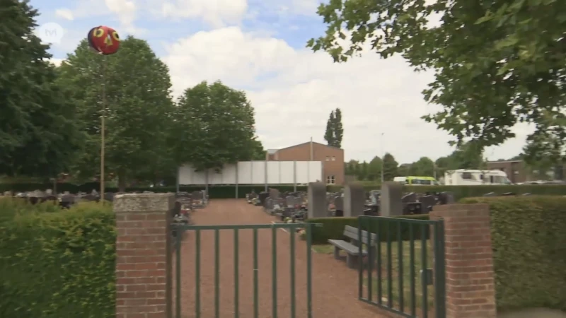 Vogels doen gevoeg op graven: Riemst hangt discobollen en vogelverschrikkers in bomen kerkhof