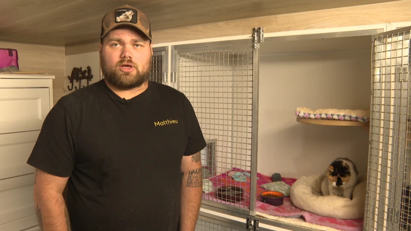 Recordaantal gedumpte kittens bewijst mislukking verplichte sterilisatie