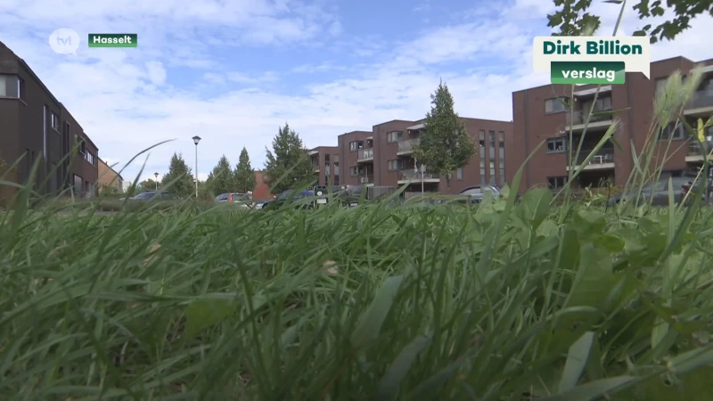 Hasselt heeft te kampen met een inbrakenplaag