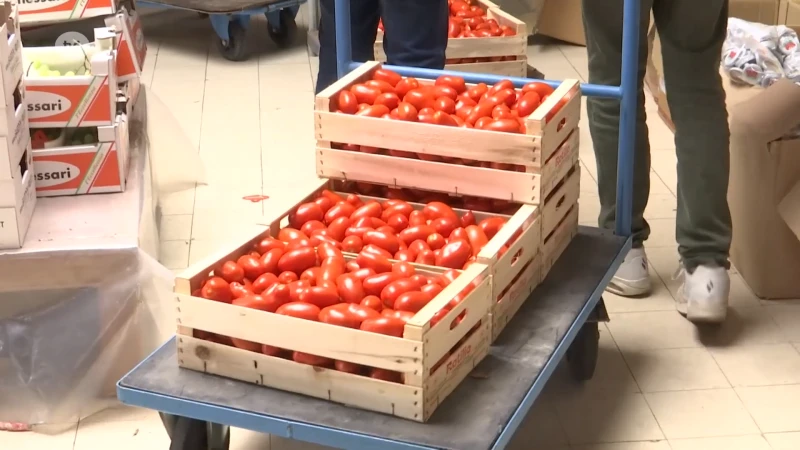 Stormloop voor Italiaanse tomaten van Genkse Manuela