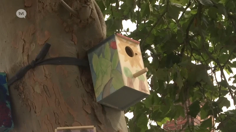Kindergemeenteraad fleurt Tongers plein op met vogelkastjes