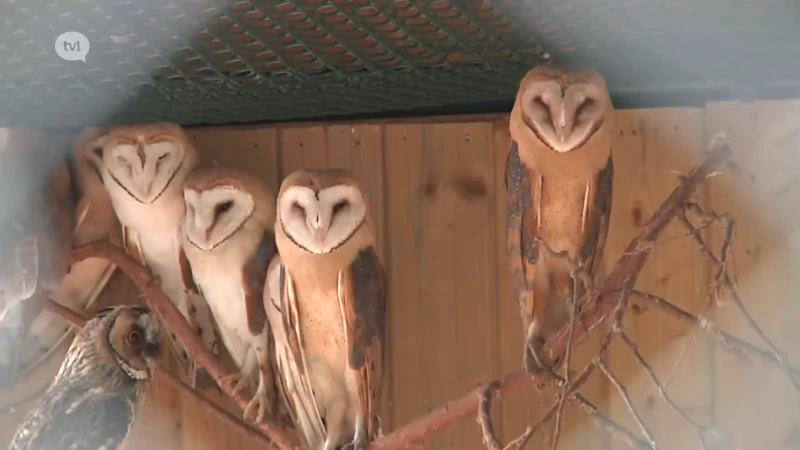 Natuurhulpcentrum heeft dit jaar al duizendtal dieren meer opgevangen dat vorig jaar