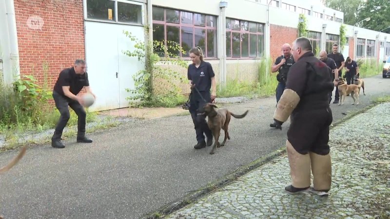 Hondenteams politie oefenen in leegstand pand van VDAB in Hasselt