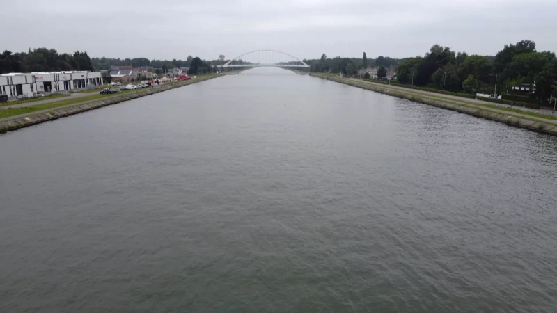 Blauwalg in Albertkanaal