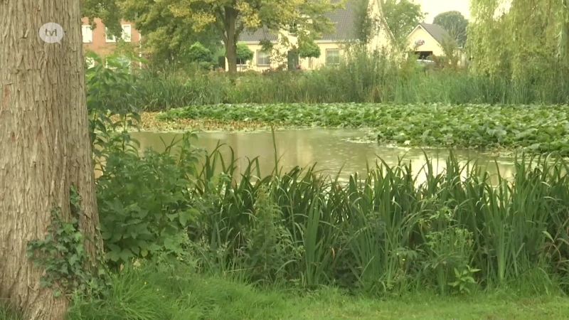 88-jarige man verdrinkt in vijver in Kinrooi